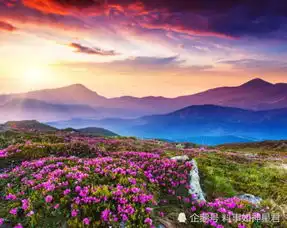 7月底不要混日子,四大生肖手气冲,中大奖,盈利多腾讯网