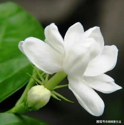 朋友圈很走心的经典句子,句句暖心,值得品读