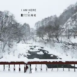 带妈妈去旅游白雪北国,满足我对雪冬的所有幻想