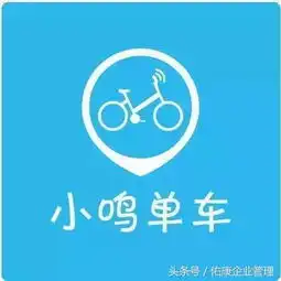 那些风口上的网红共享科技都注册了怎样有趣的公司名字