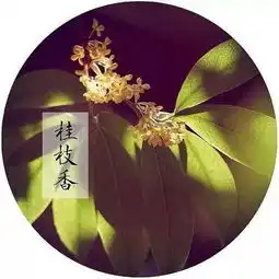 人生不过三万天,很经典的人生感悟