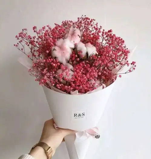 心理测试选一款你喜欢的满天星,测最近你能遇见自己的一生挚爱吗