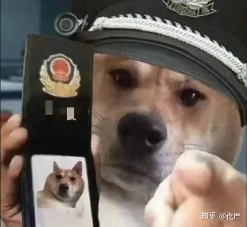 测试一个超长简介的文章