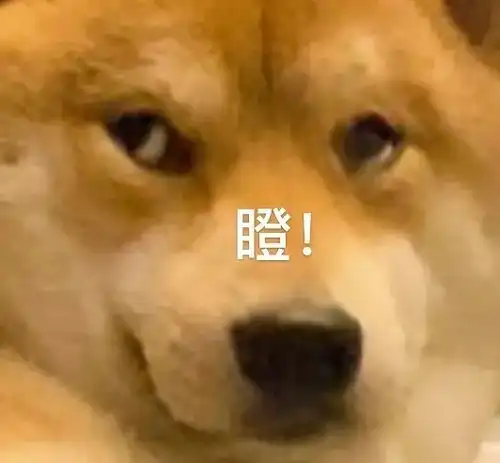 大家有无好看的冬装mod