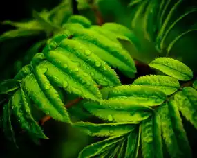 小清新清爽温馨儿童桌面专用护眼壁纸