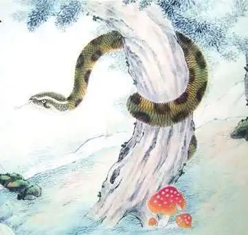 测试一个超长简介的文章