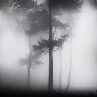测试一个超长简介的文章