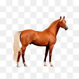 免费下载马到成功图片大全千库网png第5页