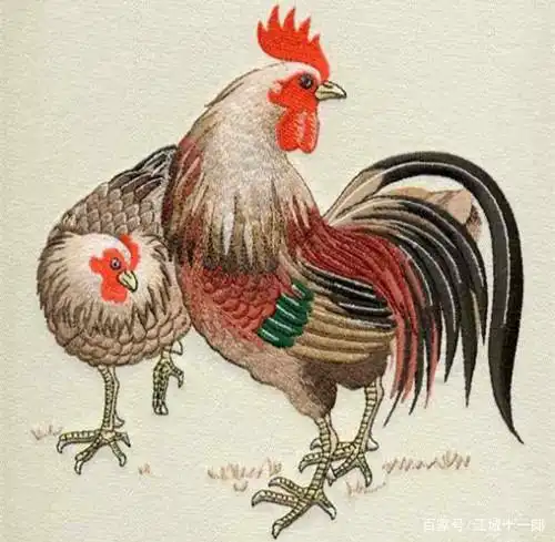 属兔的和什么属相最配最合适呢