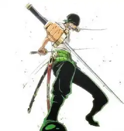 动漫海贼王中,里面的索隆是不是喜欢罗宾小姐