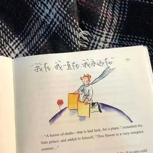 头像背景丨万物皆酷慢慢长大