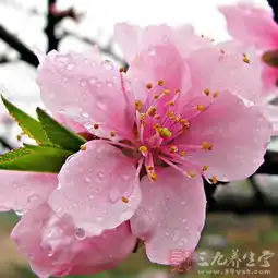 祛斑的方法拥有无瑕肌肤的方法