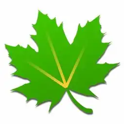 安卓软件下载安卓软件app安卓软件排行榜手机安卓软件下载