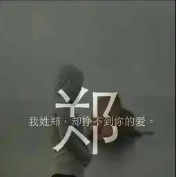 我姓郑却挣不到你的爱,求大神帮忙制作图片,三张图