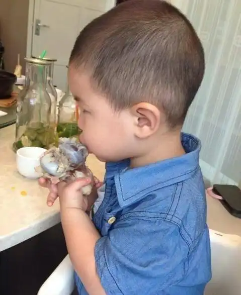 安吉以前也是小胖子,还敢说鱼儿是胖胖
