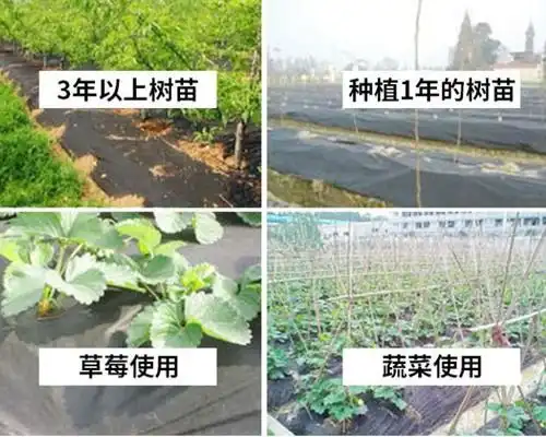 农用无纺布浙江农用无纺布图片青岛丰源