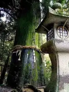 日式庭院中的设计元素