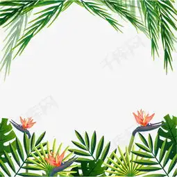 夏日小清新树叶边框素材图片免费下载高清psd千库网图片编号10073752