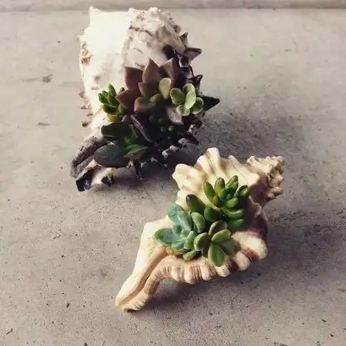 精品都市实用旧物变身漂亮花盆