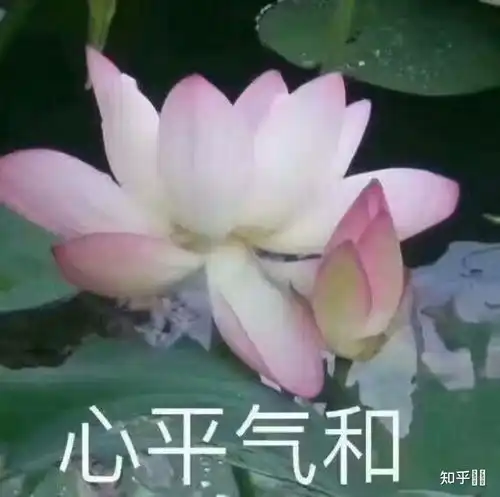 应该用怎样的心态面对父母对自己的指指点点