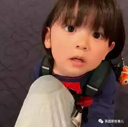 正太这个小男孩是吃可爱多长大的吗看完他的照片,心都萌化了