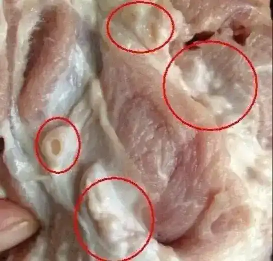 马上停止吃这4种肉,已被医生列入黑名单甲醛重金属超多,菜市场就有卖