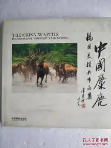 中国麋鹿杨国美摄影作品集硬精装铜版纸彩印大12开155页一版一印2.1公斤