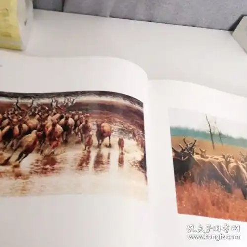 测试一个超长简介的文章