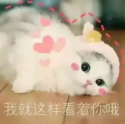 女儿保送复旦学霸妈妈谈教育十几年不开电视限制用手机