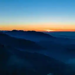 好看的图片头像风景花草风景静物头像我要个性网