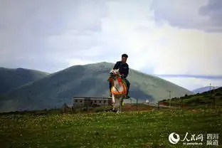 四川甘孜木雅圣地高原花海旱獭乐园