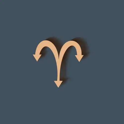 从不接受命运安排的星座