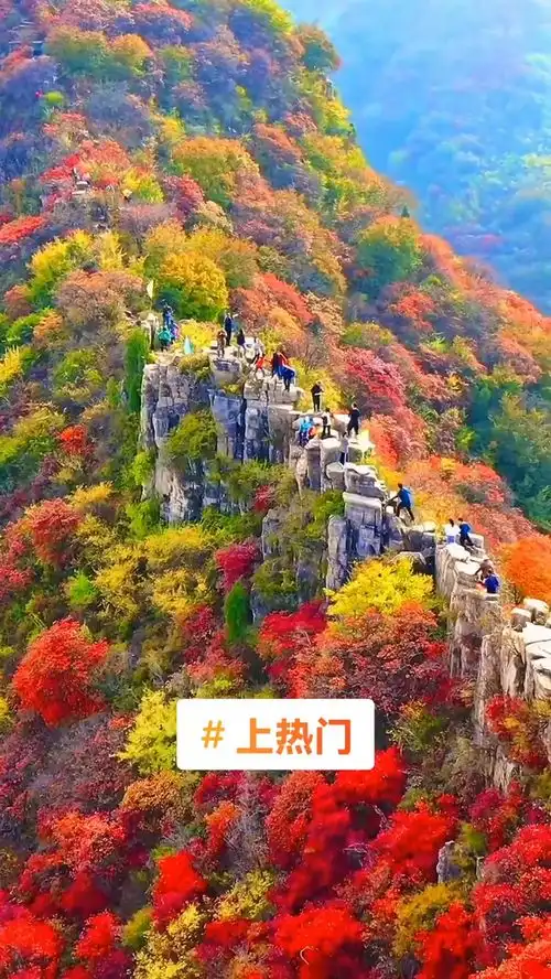 祝福大家都平安健康幸福快乐一起享受大自然的美