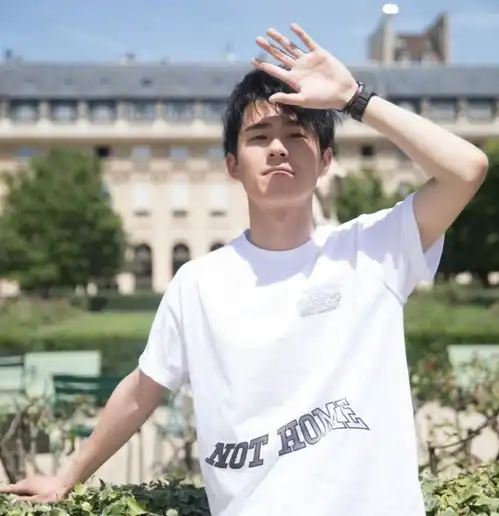 刘昊然只露恐龙脑袋不露脸,遭粉丝疯狂吐槽