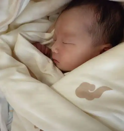 就像刚出生的孩子不能没有妈一样今日头条