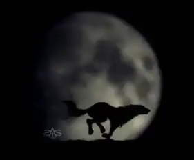 我想每天提一个问题好不好