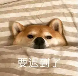 上下铺的这些利弊你都了解吗
