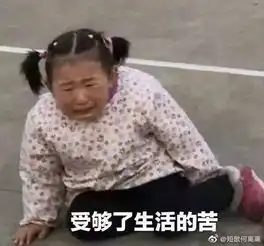 沙雕表情包大赛这届网友果然没让我失望