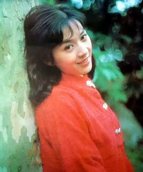 80年代昙花一现的十大女星小花今常有,玉人难再得