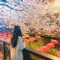 背影头像女生唯美清纯清新微信头像图片大全