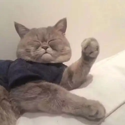 测试一个超长简介的文章