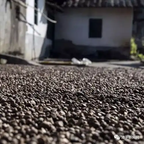一组图片带我们走进美丽的家乡漳平