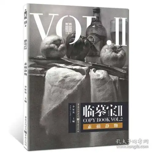 敲门砖临摹宝2素描静物李家友各类单体训练作画多题材结构解析照片范画赏析经典顶配素描基础范本风暴联考美术绘画教材书籍
