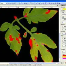 植物冠层分析价格植物冠层分析批发植物冠层分析厂家hc360慧聪网