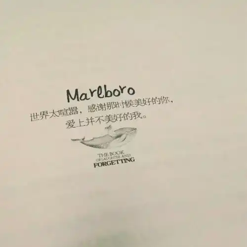 头像壁纸三生三世,遇你甚好