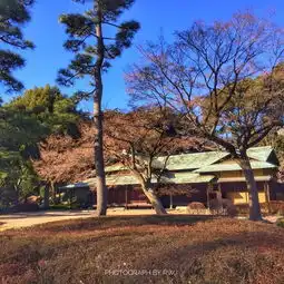 东京一个人的旅行,发现不一样的风景日本人气零食测评及化妆品价格