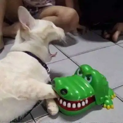 测试一个超长简介的文章
