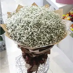 测试一个超长简介的文章
