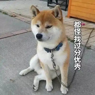 因为周年庆,医院里的这群人都崩溃了