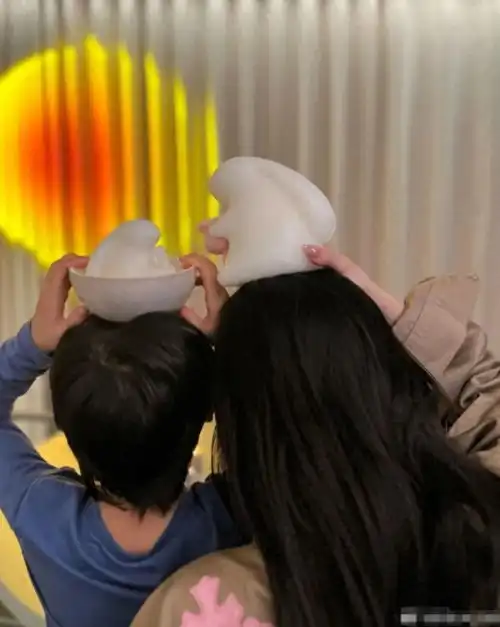 杨颖首晒母子合照,给爱犬起名阿黄,黄晓明过往采访被疑内涵前妻